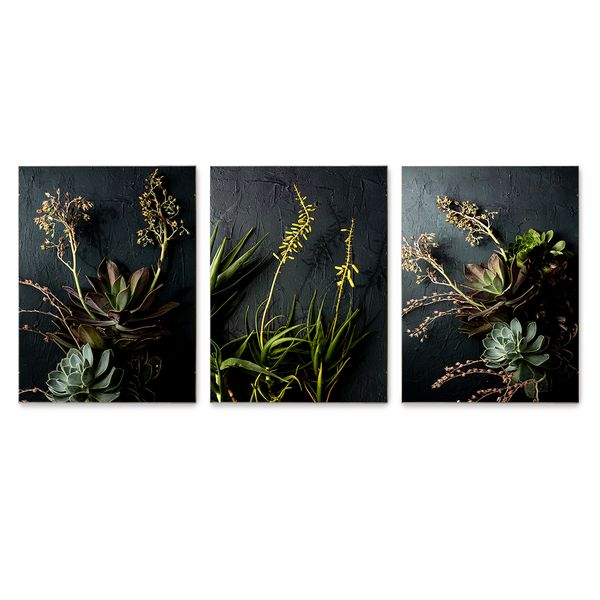 Cape Art Birch Block 3 Piece Collage Dark Succulents