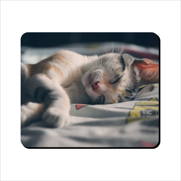 Mouse Pad - Sleepy Cat