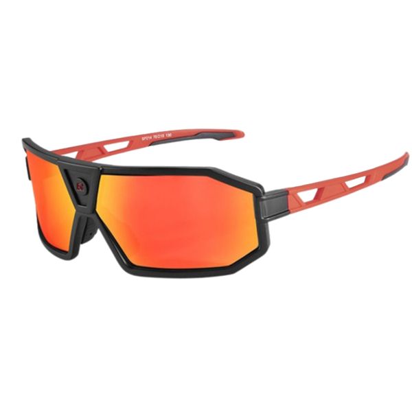 RockBros SP214 Polarized Sunglasses/Eyewear