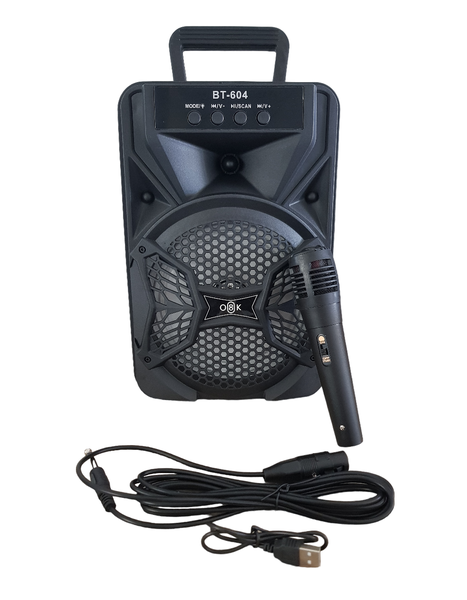 O8K 6.5" Karaoke Speaker with Mic, and LED Light - BT-604