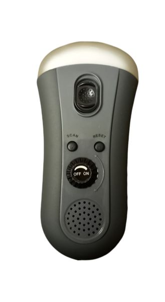 Dynamo Radio With Torch