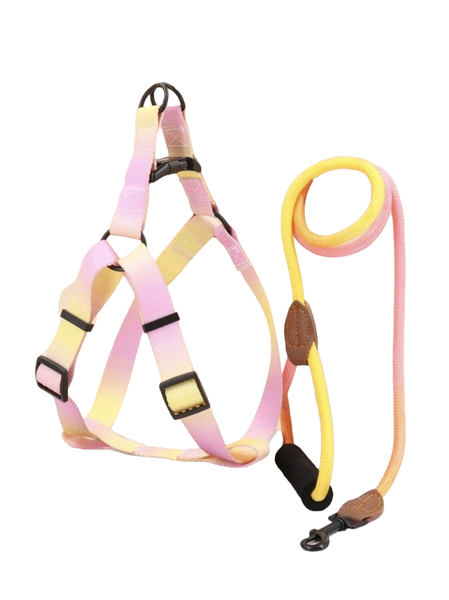 Dog Harness and Leash, Ombre Design for Medium Breeds