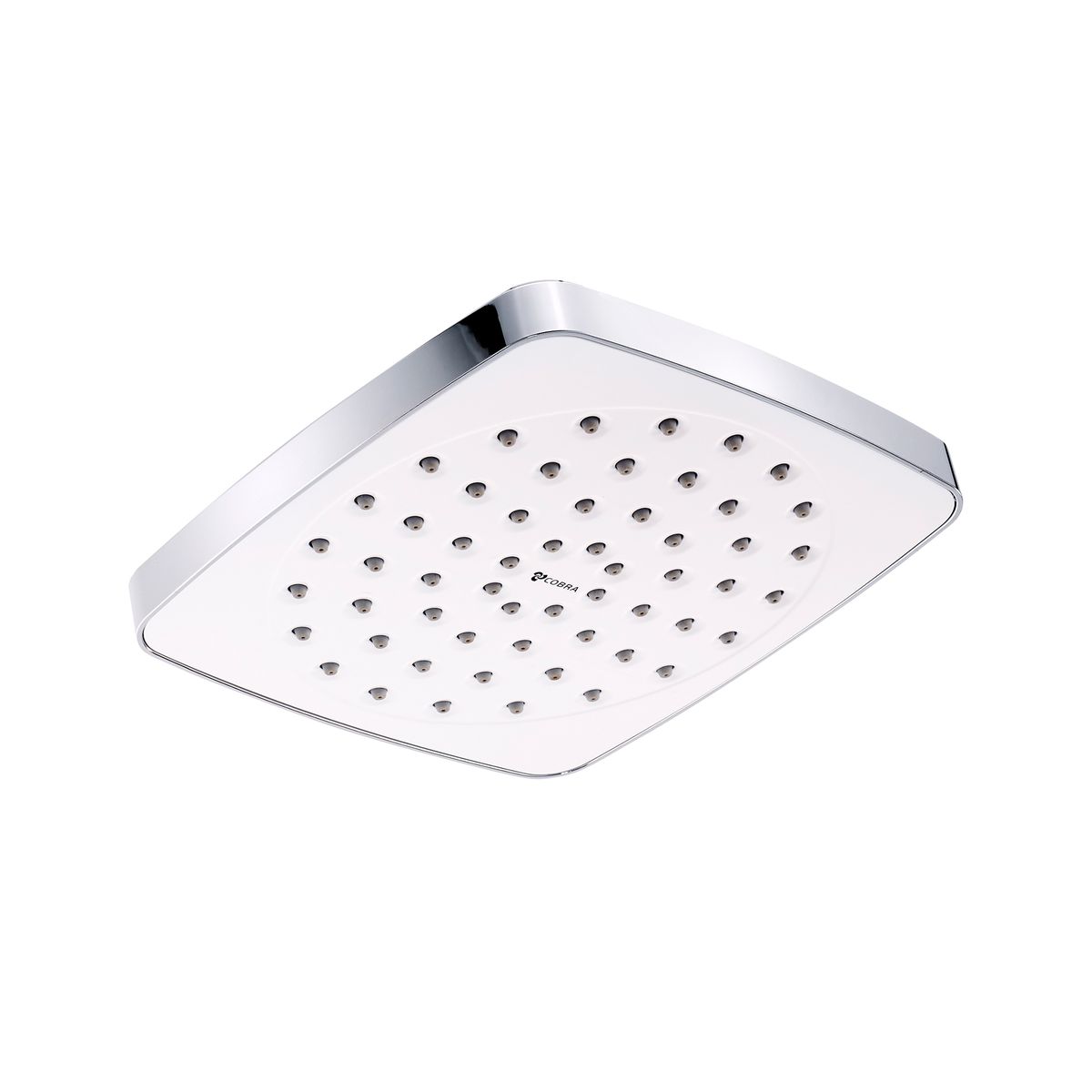 Den Shower Head Square