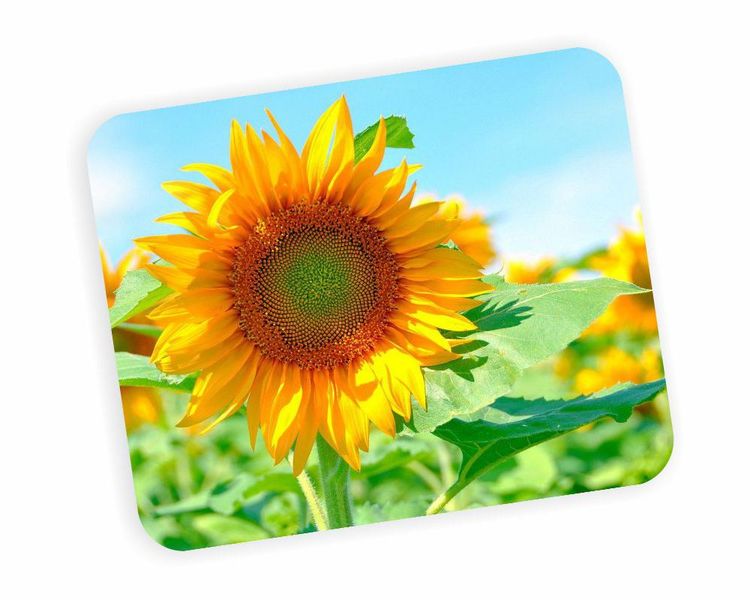 Bright Sunflower Mouse Pad