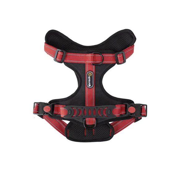 Dog Harness