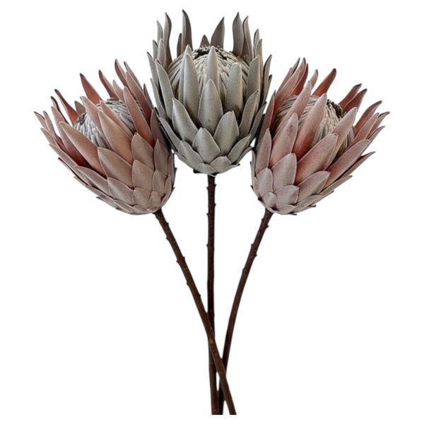 Luxury Artificial South African Protea Stems - Realistic Blooms (Set of 3)