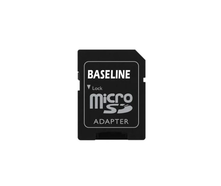 BASELINE 4 GB Micro SD Card &amp; Adapter (Pack of 10)