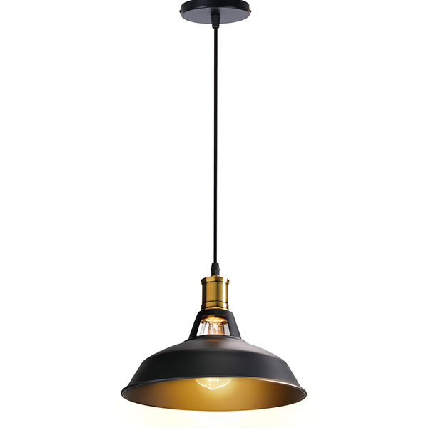 DrLight Loft Creative Personality Iron Retro Industrial Style Pendant