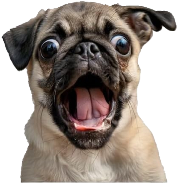 Funny Pug Dog Sticker / Decal for Car Window / Windows 1-piece