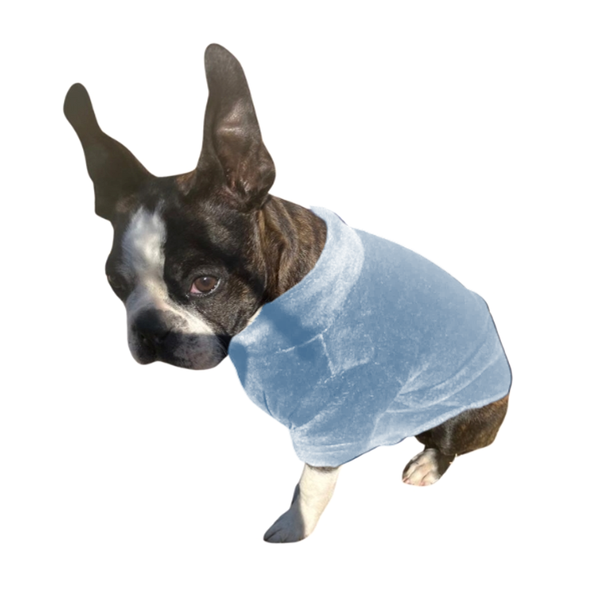 Dog Jersey - 2 Pack - Mongolian Fleece - Baby Blue