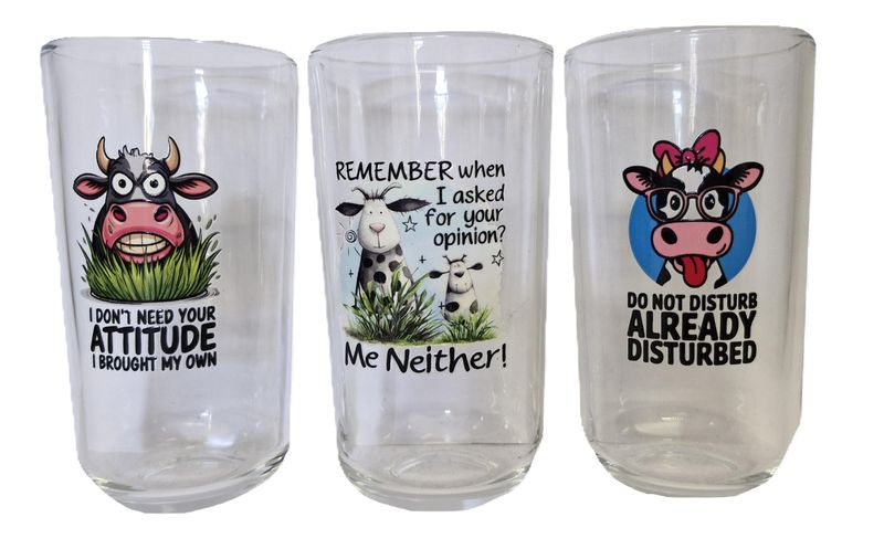 Set of 3 Highball Glasses with Funny Message Designs