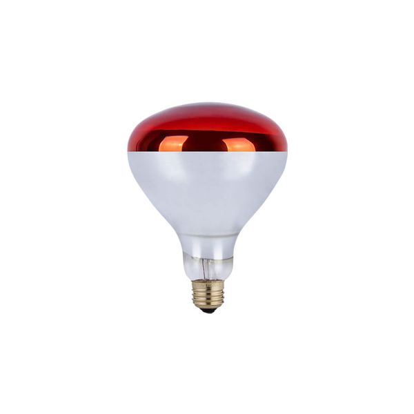 AnimalLamp Red Infrared Heat Lamp 250w