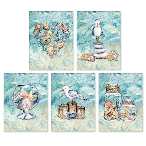 Seashell &amp; Seagulls Greeting Card Set (5 Pack)