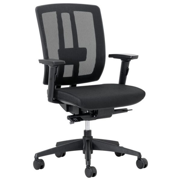 Air Ergonomic Office Chair