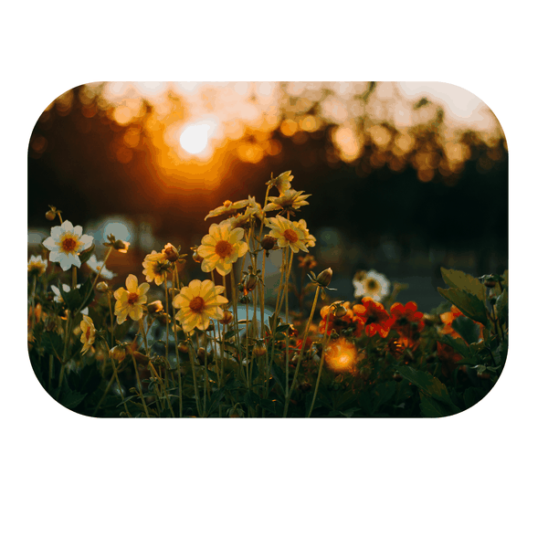 Sunset Flowers Printed Mouse Pad