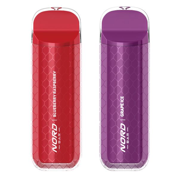 Nord Bar Rechargeable Disposable Vape-Grape Ice &amp; Blueberry Raspberry Combo