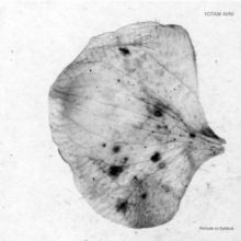 Prelude to Dybbuk (Vinyl / 12" EP)