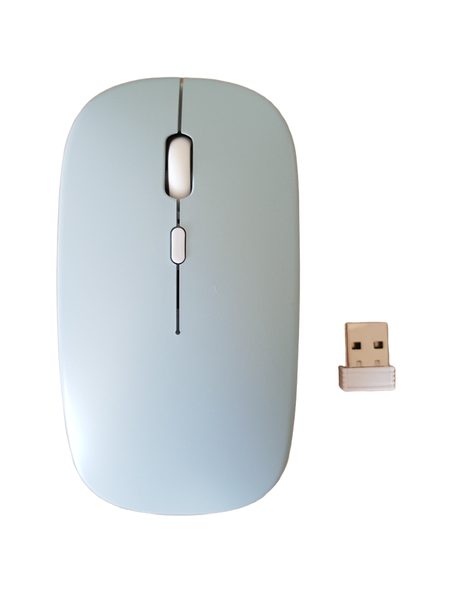 Professional Travel Wireless Mouse - Built in Battery