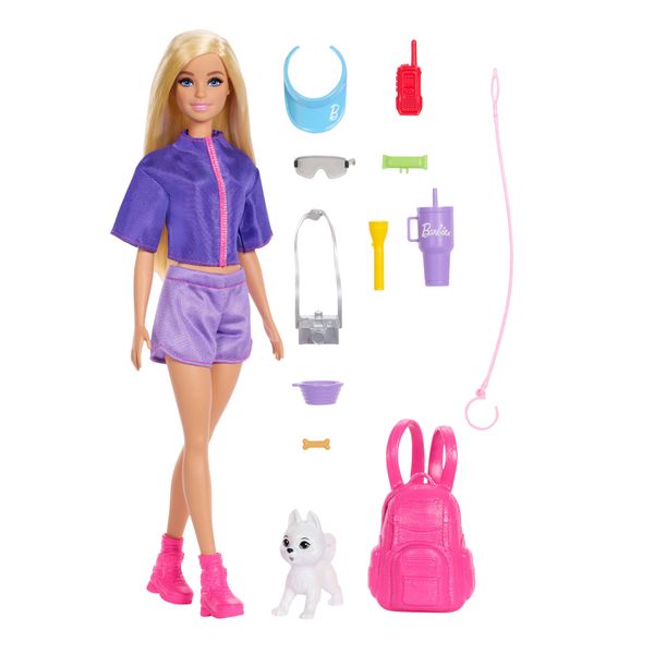Barbie Family &amp; Friends Barbie "Malibu' Doll And Accessories