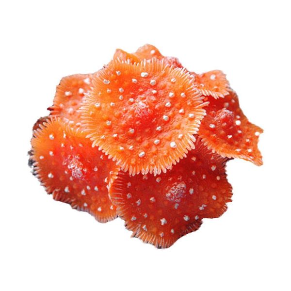 Pet Hobby Aquarium Fish Tank Soft Flexible Artificial Coral Decoration 6cm