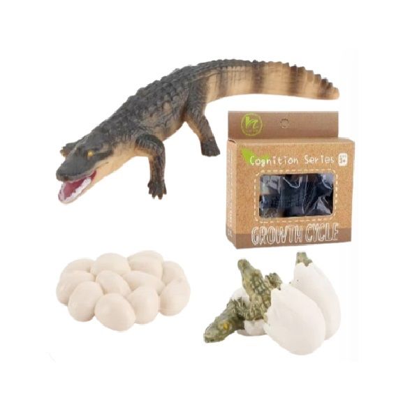 Montessori Crocodile Growth Cycles - Educational STEM Toy