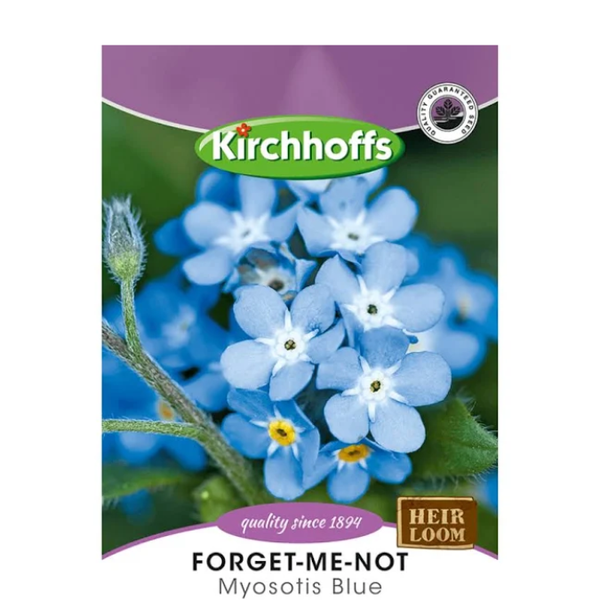 Forget-me-not Myosotis blue