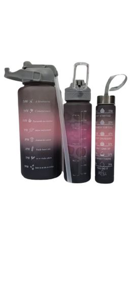 Luxurious 3 Piece Water Bottles