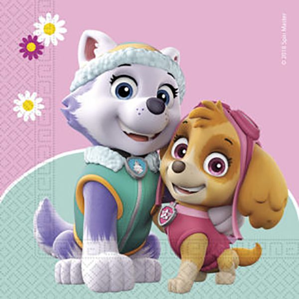 Paw Patrol Skye&amp;Everest Two Ply Paper Napkin