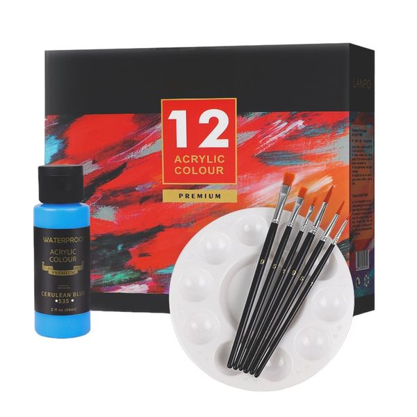 12 Colour 60 ml Premium Acrylic Paint Set