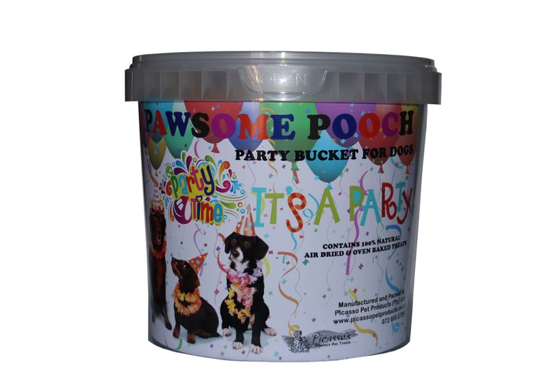 Picasso's - Party Bucket for Dogs