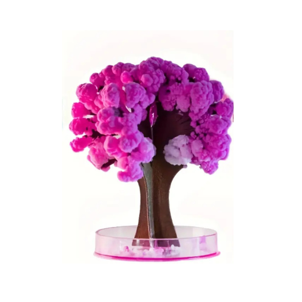 Magic Sakura Blooming Paper Tree - Book That Flowers with Water - Cherry Blossom