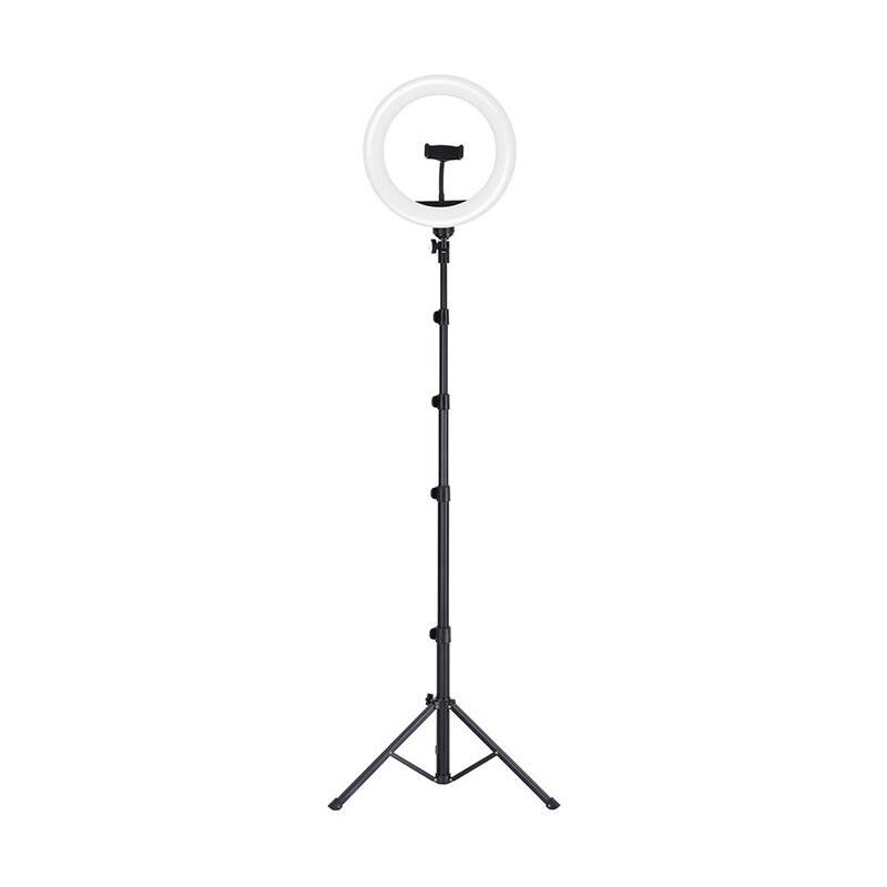 mini tripod stand with ring light under 500