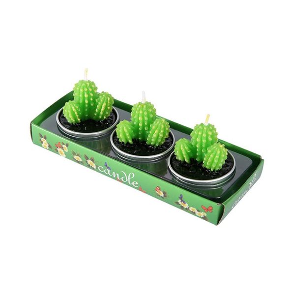 iKids Succulent Plant Candle Set | Cactus
