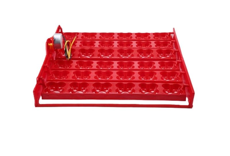 Egg Tray for Chicken and or Quail eggs with 220-volt motor