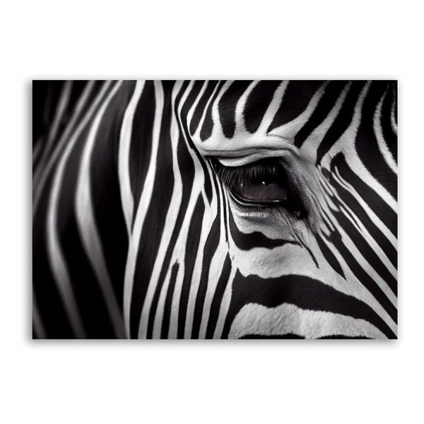 Zebra Eye Canvas Animals Wall Art