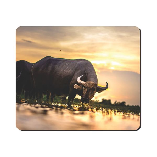 Mouse Pad - Buffalo