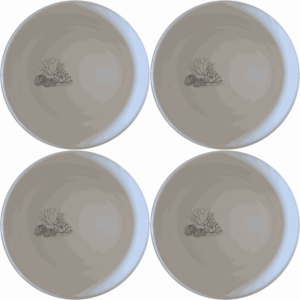Succulent Garden Bowl Set of 4 - Range 3