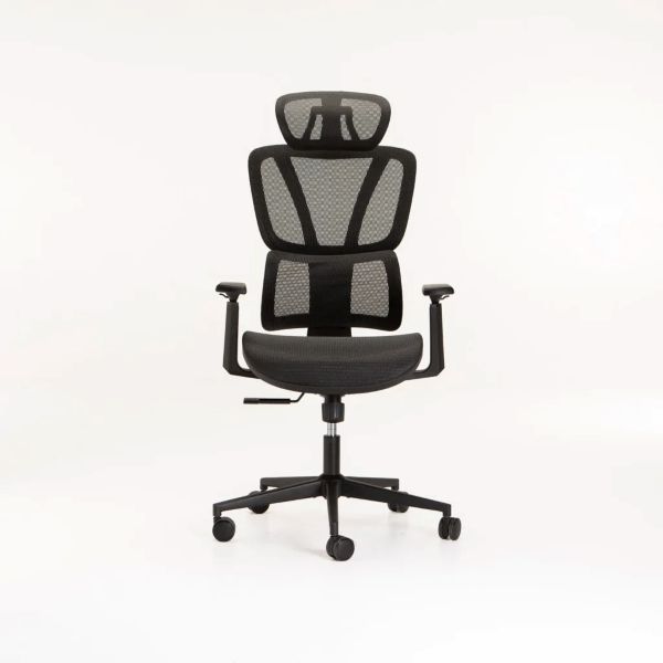 Ergonomic Luxury Executive Office Chair Ah601