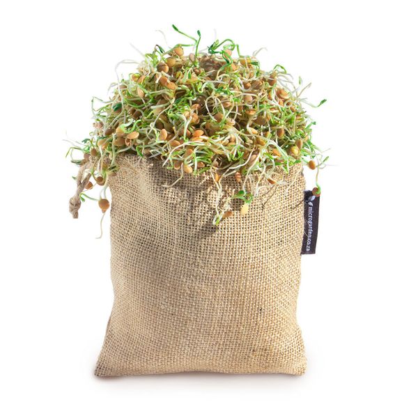 Superfood Sprout Bag &amp; Brown Lentil Seeds 4 X 50g