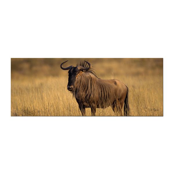 Blue Wildebeest Golden Hour Large Desk Pad By Fanie Heymans