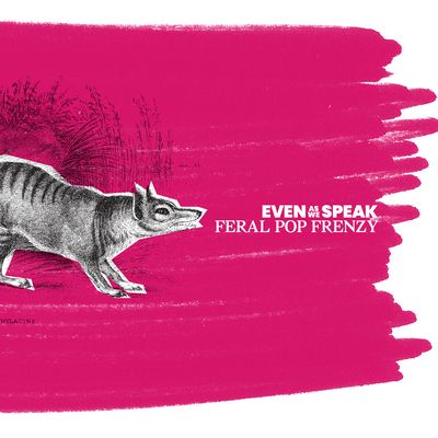 Feral Pop Frenzy (Vinyl / 12" Album)