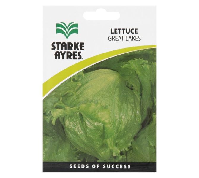 Starke Ayres Lettuce Great Lakes Seeds