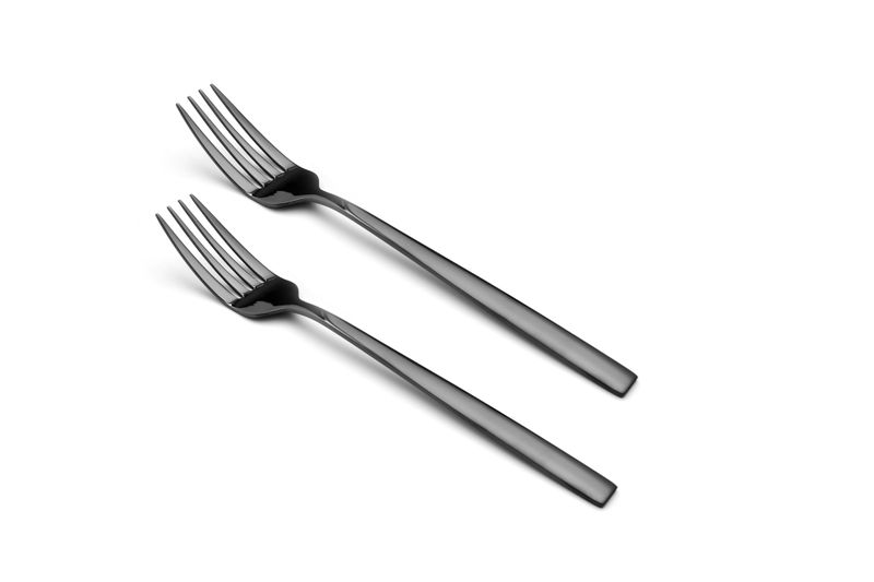 Salton Black Fork
