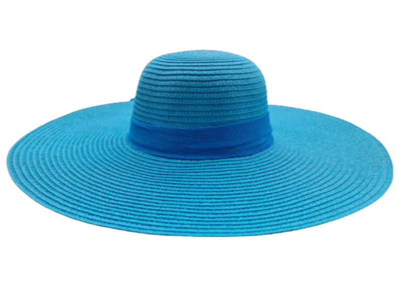 Straw Beach Summer Hat for Women