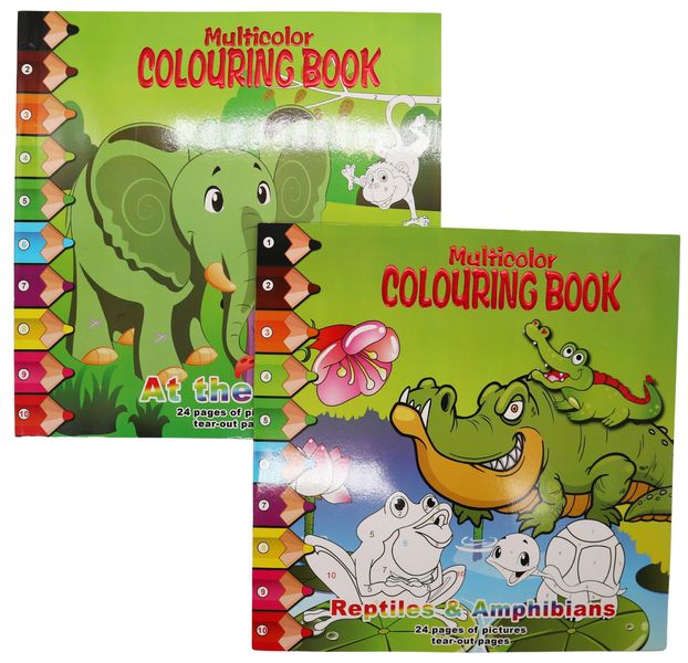 24 Page at the Zoo and 24 Page Reptiles &amp; Amphibians Colouring Book Combo