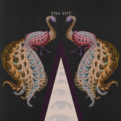 New Age Soul (Vinyl / 12" Album)