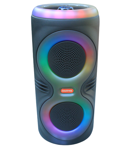 Portable Bluetooth Speaker with RGB Lights &amp; FM Radio