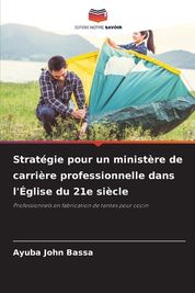 Strat Gie Pour Un Minist Re De Carri Re Professionnelle Dans L' Glise ...