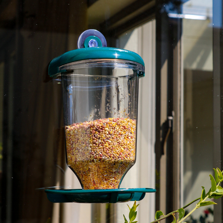 Transparent Window Bird Feeder