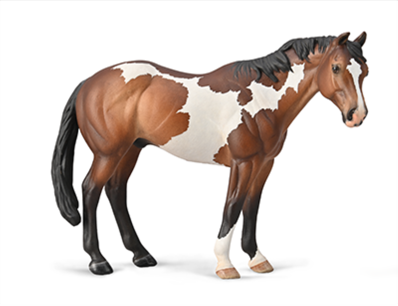 Collecta Horses Xl Appaloosa Stallion Bay